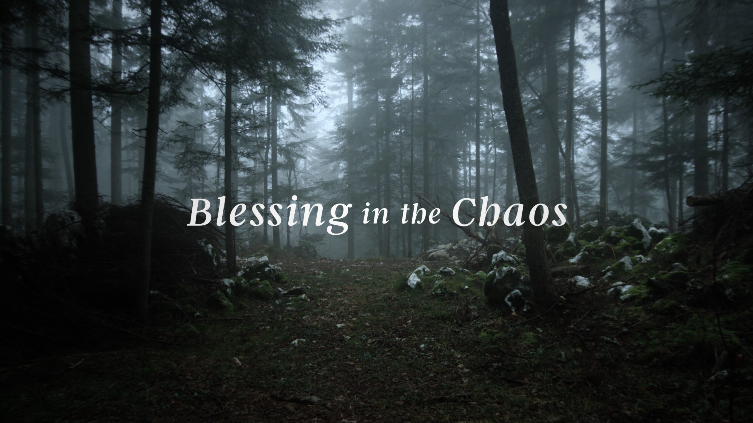 Blessing In The Chaos Worship Service Intro Story Loop Blessing In The Chaos Scaled