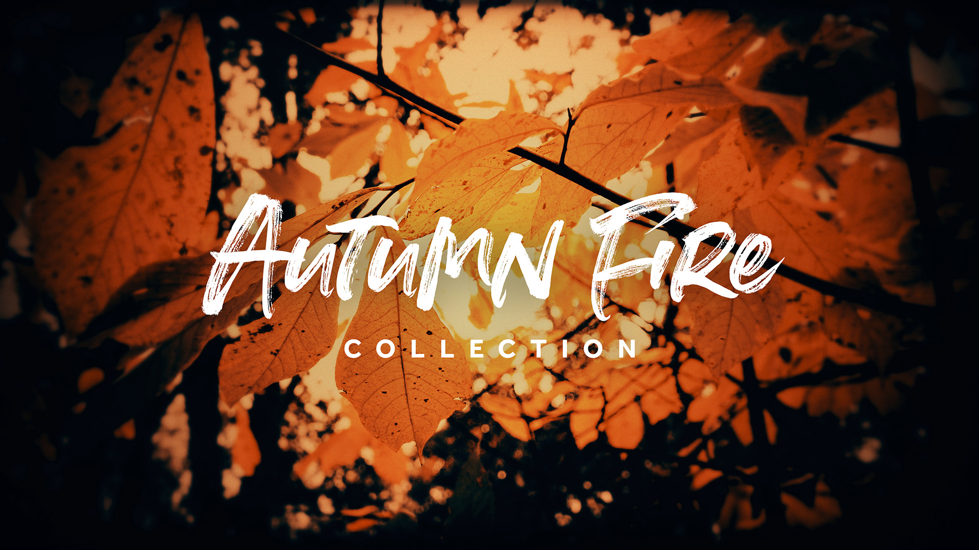 Autumn Fire - Church Motion Backgrounds | Story Loop